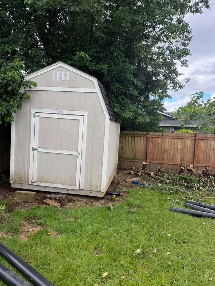 Backyard storage shed standing against a fence before removal